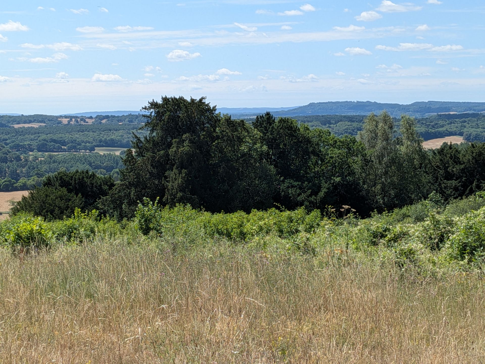View from Newlands Corner